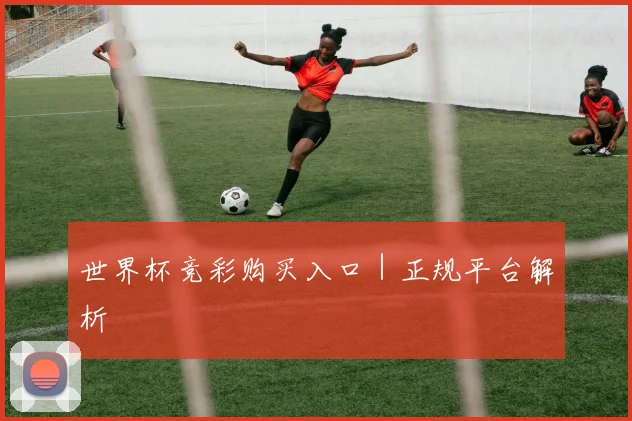 世界杯竞彩购买入口｜正规平台解析