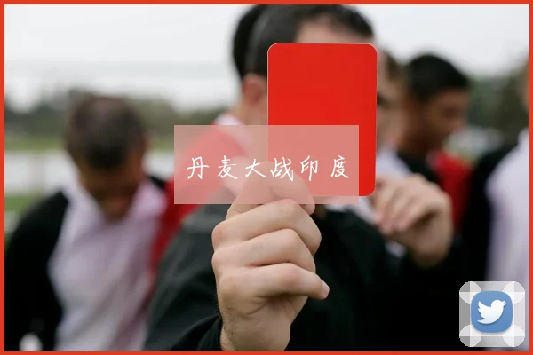 丹麦大战印度