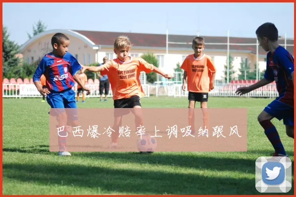 巴西爆冷赔率上调吸纳跟风