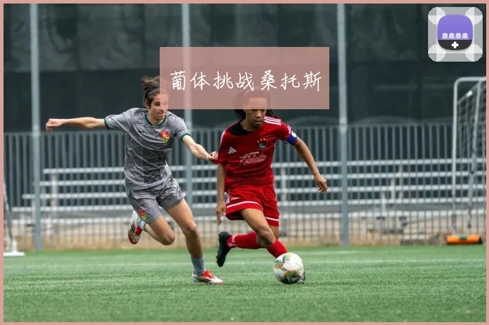 葡体挑战桑托斯