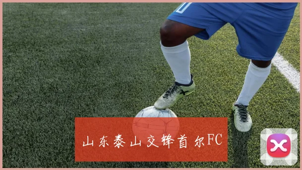 山东泰山交锋首尔FC
