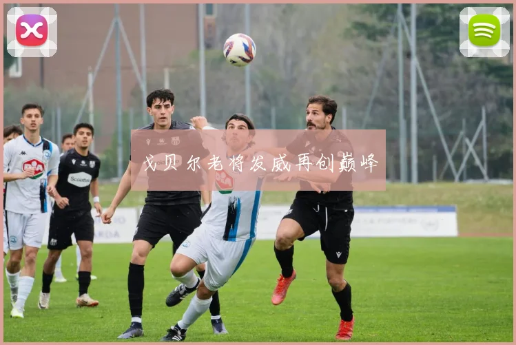戈贝尔老将发威再创巅峰