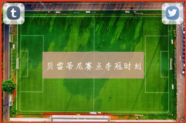 贝雷蒂尼赛点夺冠时刻