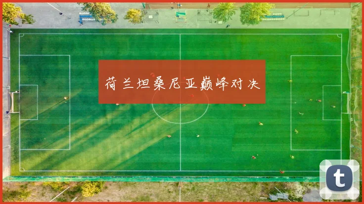 荷兰坦桑尼亚巅峰对决
