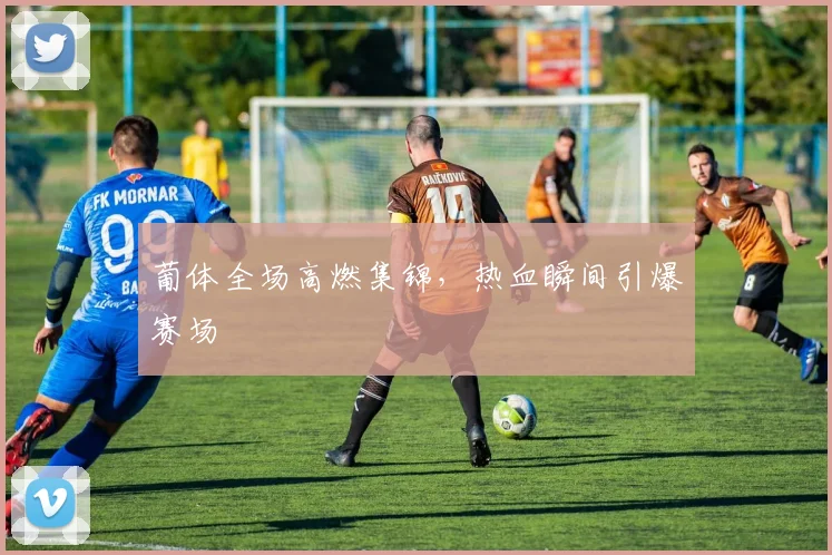 葡体全场高燃集锦，热血瞬间引爆赛场