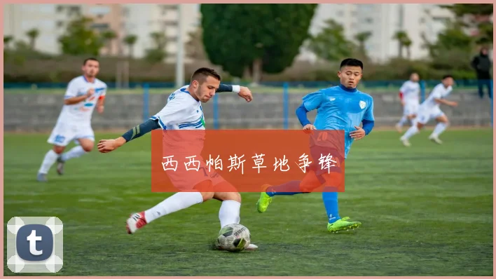 西西帕斯草地争锋
