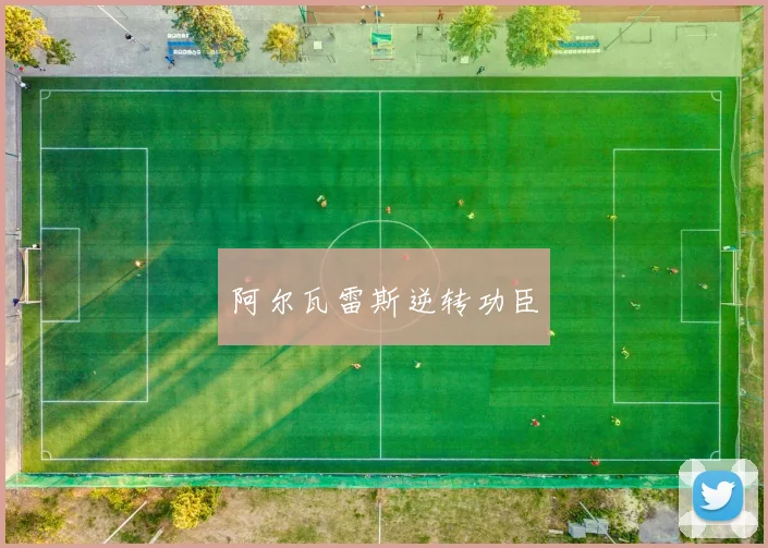 阿尔瓦雷斯逆转功臣