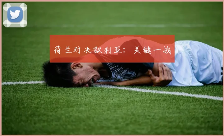 荷兰对决叙利亚：关键一战