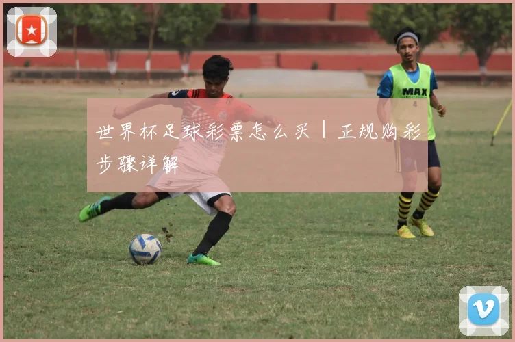 世界杯足球彩票怎么买｜正规购彩步骤详解