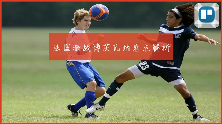 法国激战博茨瓦纳看点解析