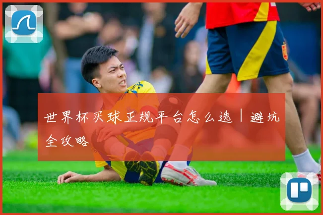 世界杯买球正规平台怎么选｜避坑全攻略