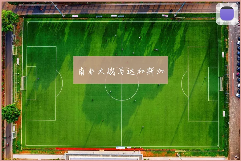 南非大战马达加斯加