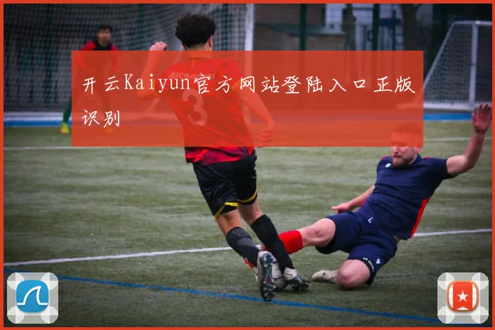开云Kaiyun官方网站登陆入口正版识别