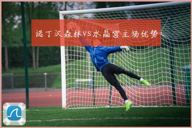 诺丁汉森林vs水晶宫主场优势
